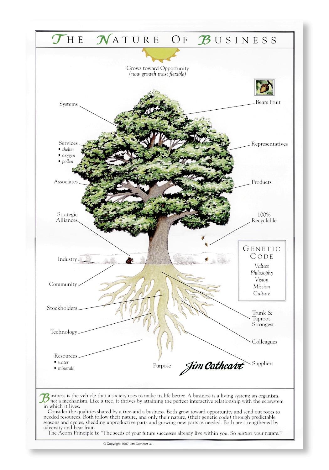 The Acorn Principle painted oak tree illustration with roots and Cathcart Institute logo