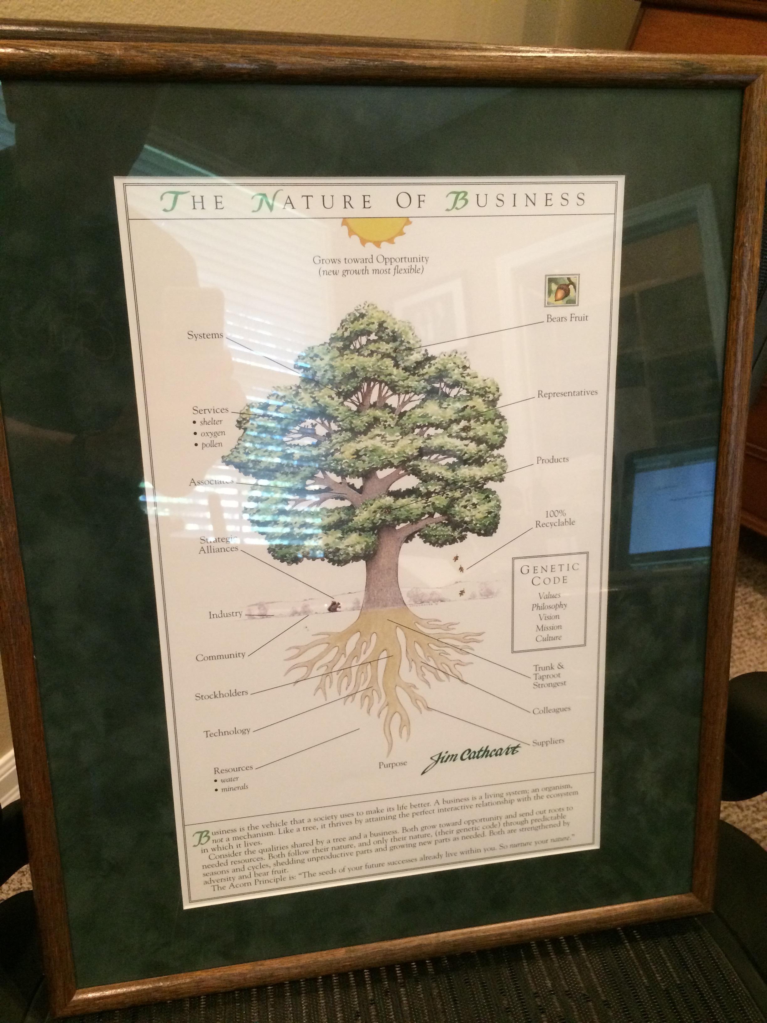 The Acorn Principle tree art framed on a wall