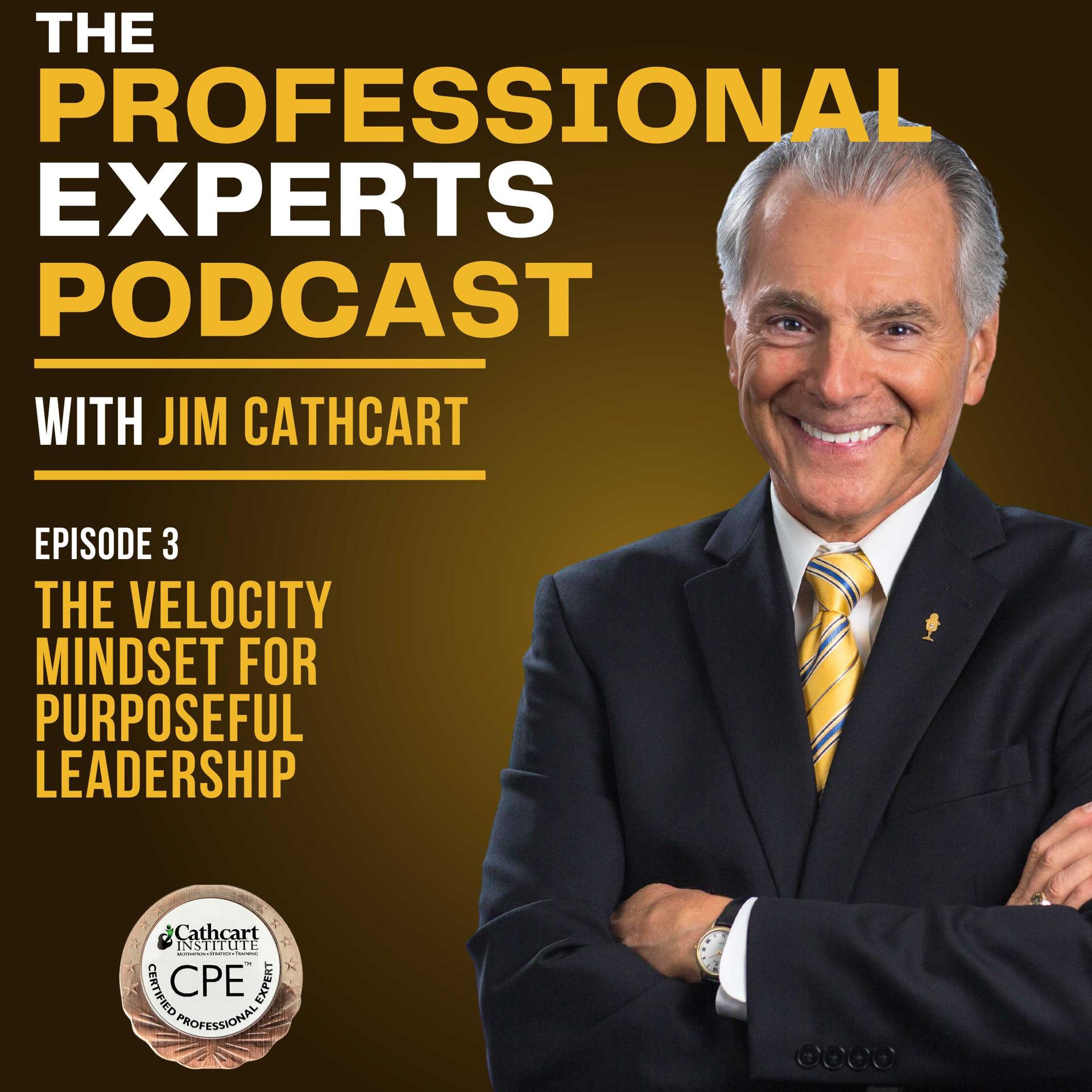 The Velocity Mindset for Purposeful Leadership